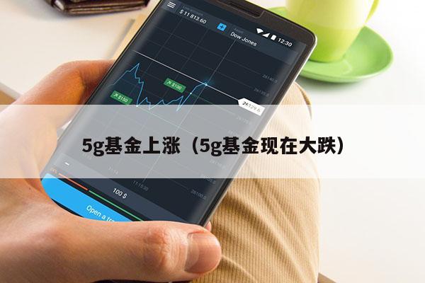 5g基金上涨（5g基金现在大跌）