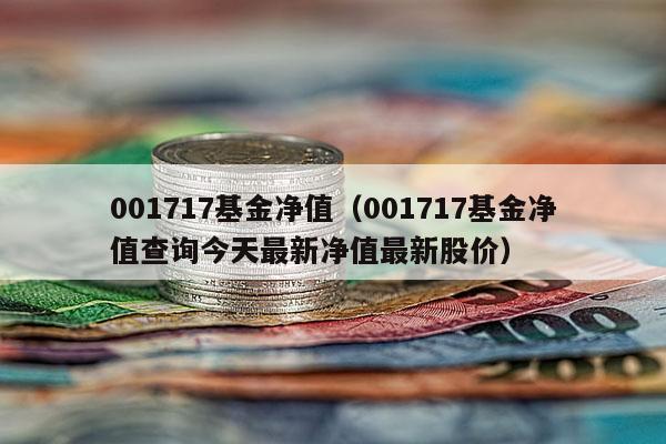 001717基金净值（001717基金净值查询今天最新净值最新股价）