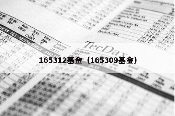 165312基金（165309基金）