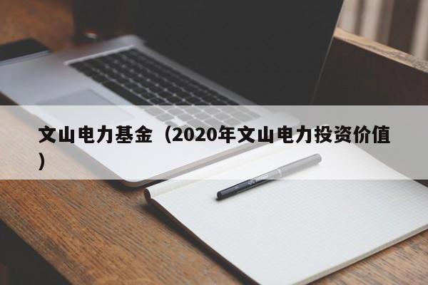 文山电力基金（2020年文山电力投资价值）