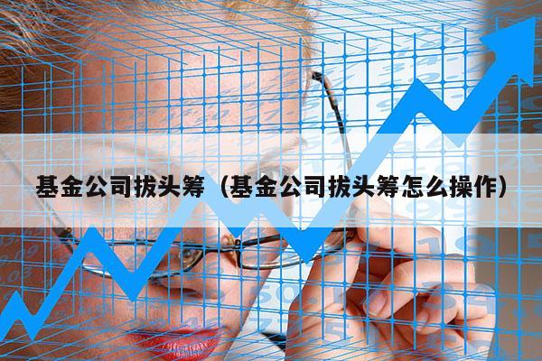 基金公司拔头筹（基金公司拔头筹怎么操作）