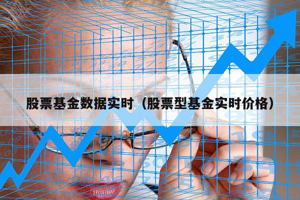 股票基金数据实时（股票型基金实时价格）