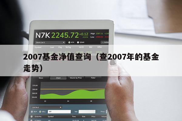 2007基金净值查询（查2007年的基金走势）