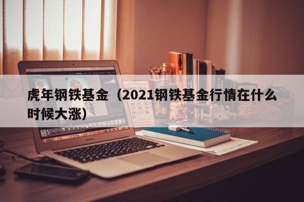 虎年钢铁基金（2021钢铁基金行情在什么时候大涨）