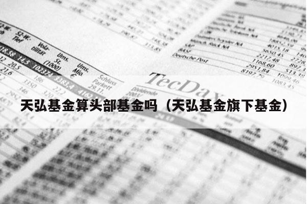 天弘基金算头部基金吗（天弘基金旗下基金）