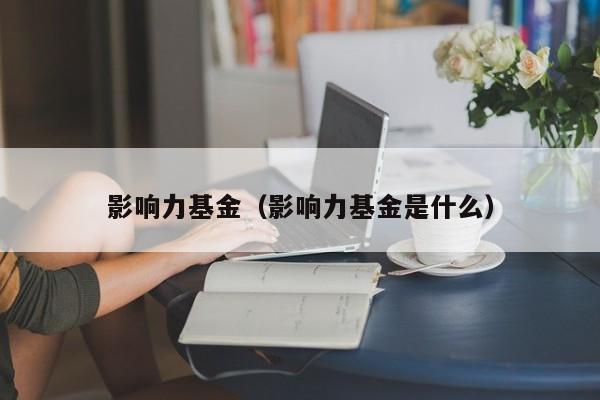 影响力基金（影响力基金是什么）