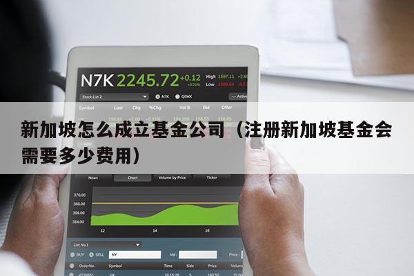 新加坡怎么成立基金公司（注册新加坡基金会需要多少费用）