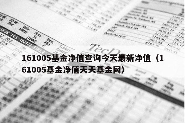 161005基金净值查询今天最新净值（161005基金净值天天基金网）