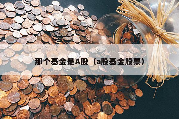 那个基金是A股（a股基金股票）