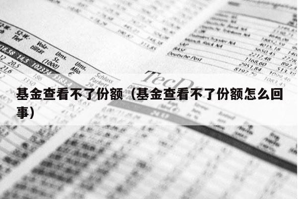 基金查看不了份额（基金查看不了份额怎么回事）