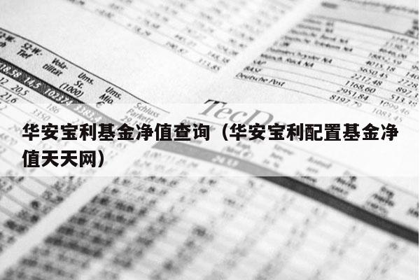 华安宝利基金净值查询（华安宝利配置基金净值天天网）