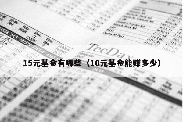 15元基金有哪些（10元基金能赚多少）