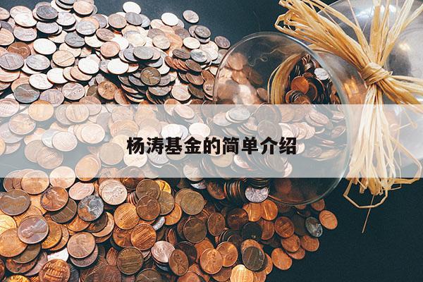 杨涛基金的简单介绍