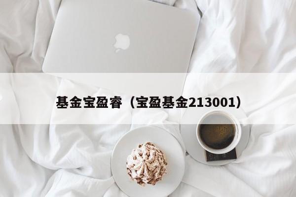 基金宝盈睿（宝盈基金213001）