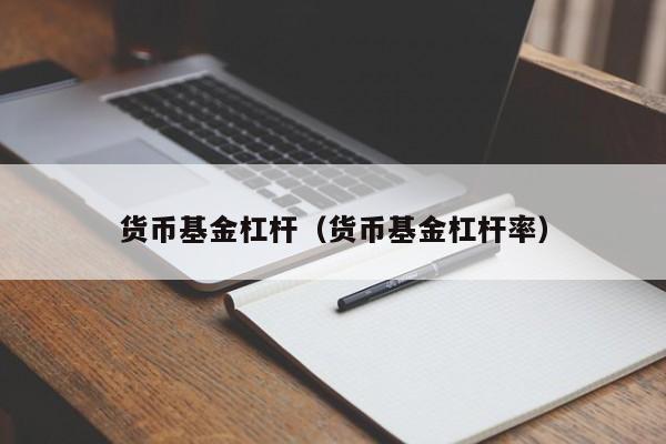 货币基金杠杆（货币基金杠杆率）