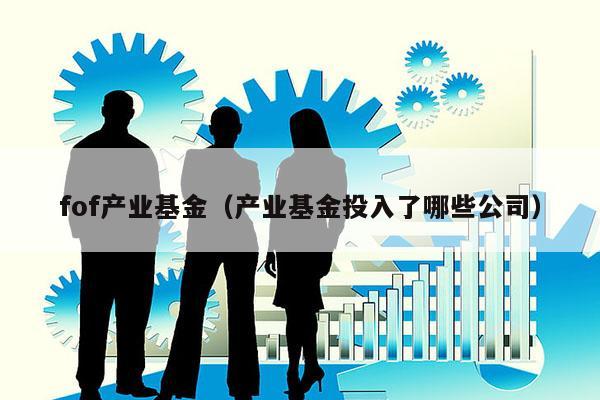 fof产业基金（产业基金投入了哪些公司）