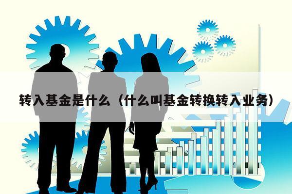 转入基金是什么（什么叫基金转换转入业务）