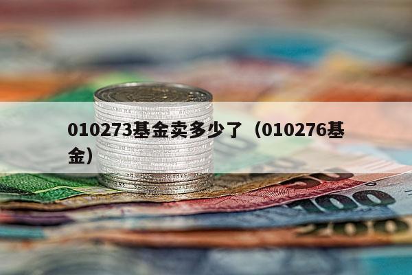 010273基金卖多少了（010276基金）