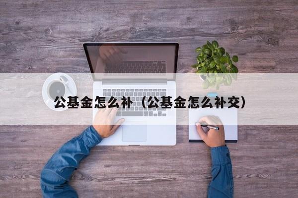 公基金怎么补（公基金怎么补交）