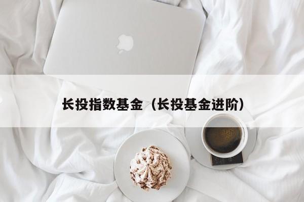 长投指数基金（长投基金进阶）