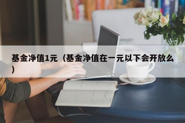 基金净值1元（基金净值在一元以下会开放么）