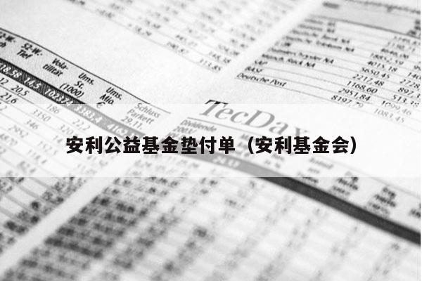 安利公益基金垫付单（安利基金会）