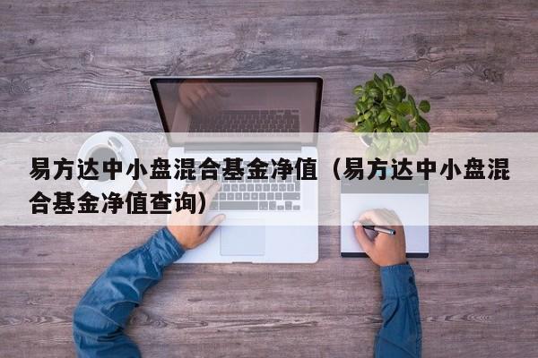 易方达中小盘混合基金净值（易方达中小盘混合基金净值查询）