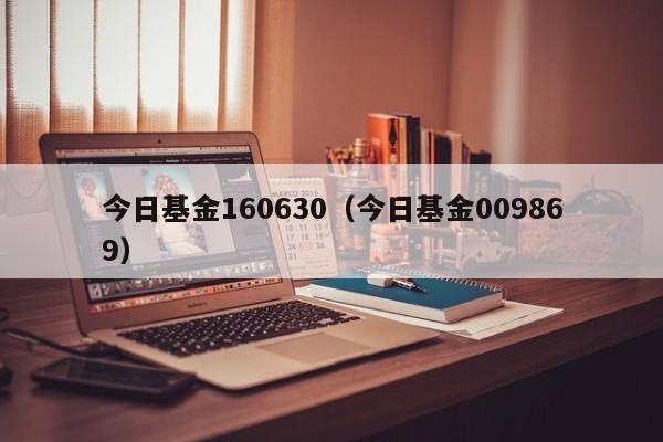 今日基金160630（今日基金009869）