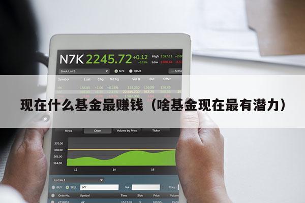 现在什么基金最赚钱（啥基金现在最有潜力）