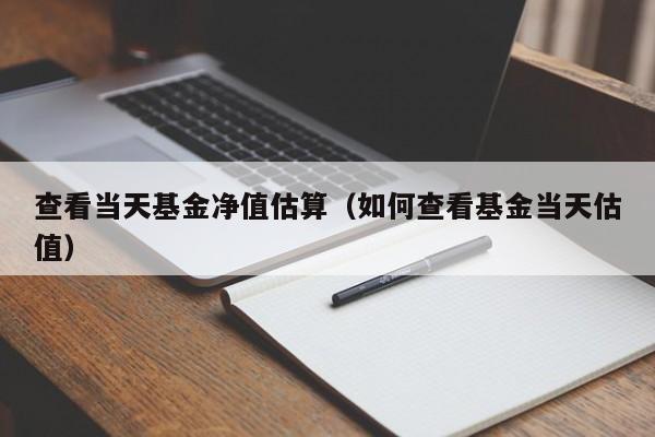 查看当天基金净值估算（如何查看基金当天估值）