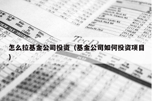 怎么拉基金公司投资（基金公司如何投资项目）
