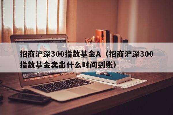 招商沪深300指数基金A（招商沪深300指数基金卖出什么时间到账）