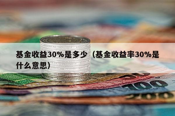 基金收益30%是多少（基金收益率30%是什么意思）