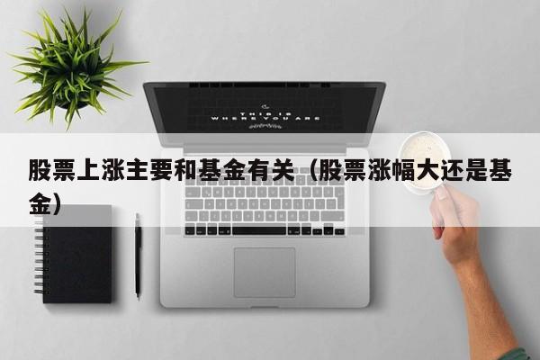 股票上涨主要和基金有关（股票涨幅大还是基金）