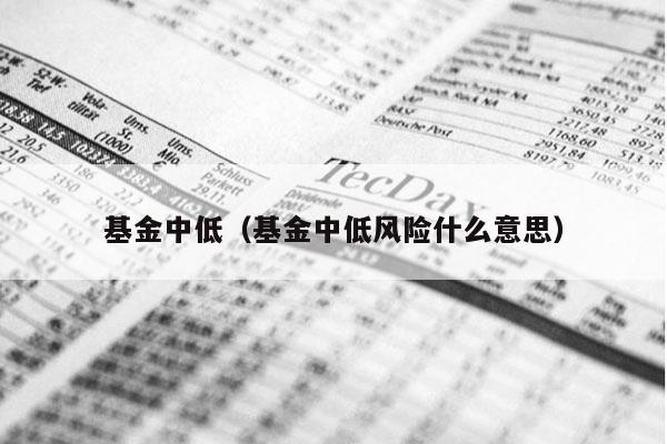 基金中低（基金中低风险什么意思）