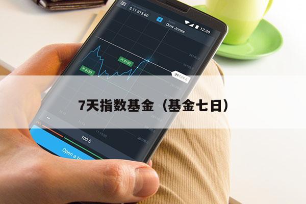 7天指数基金（基金七日）