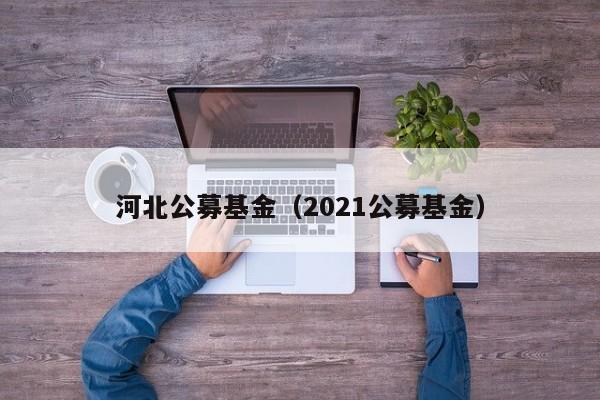 河北公募基金（2021公募基金）