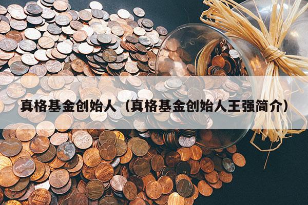 真格基金创始人（真格基金创始人王强简介）