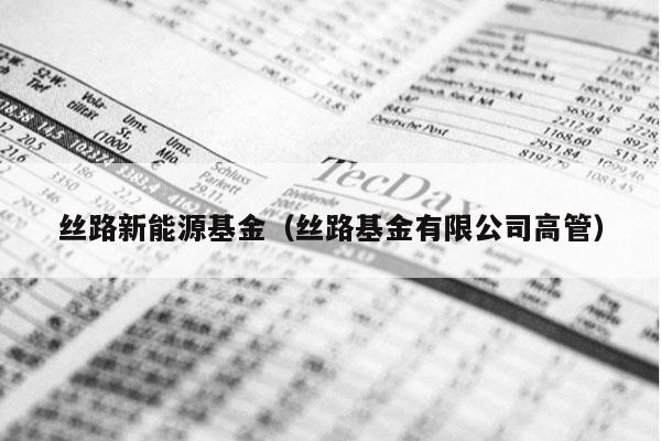 丝路新能源基金（丝路基金有限公司高管）