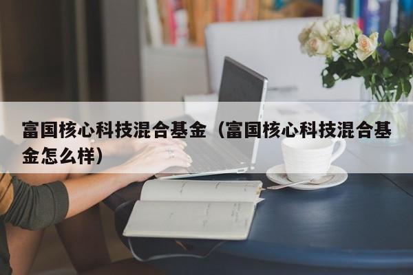 富国核心科技混合基金（富国核心科技混合基金怎么样）