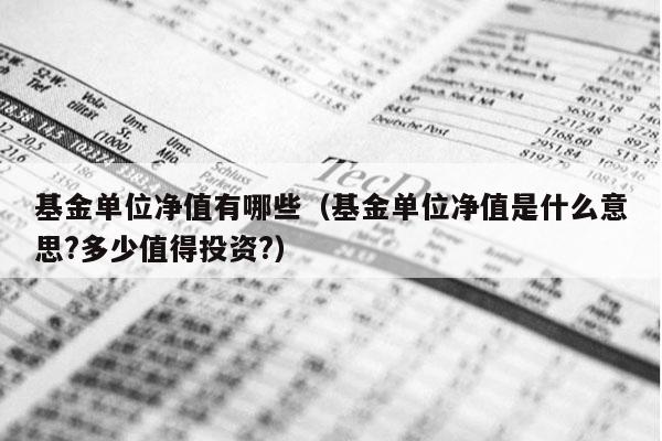 基金单位净值有哪些（基金单位净值是什么意思?多少值得投资?）