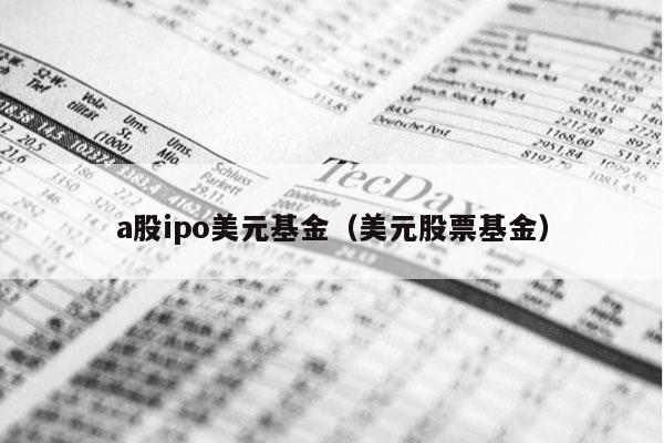 a股ipo美元基金（美元股票基金）