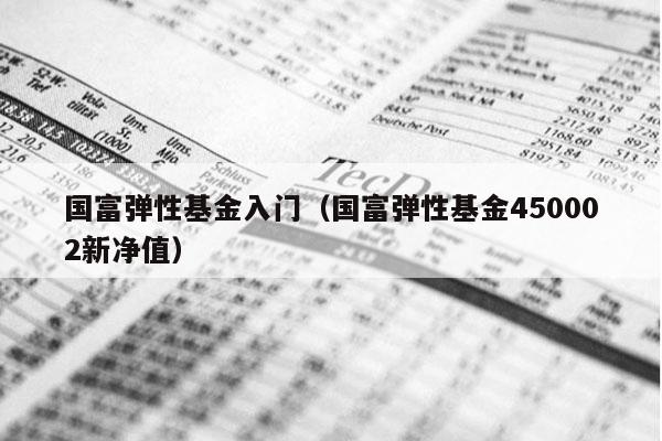 国富弹性基金入门（国富弹性基金450002新净值）
