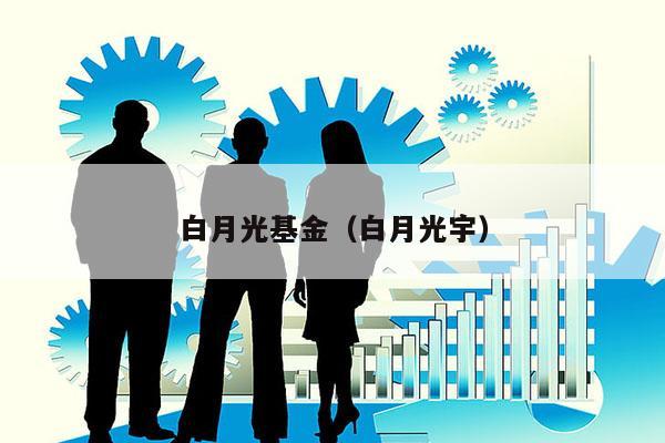 白月光基金（白月光宇）