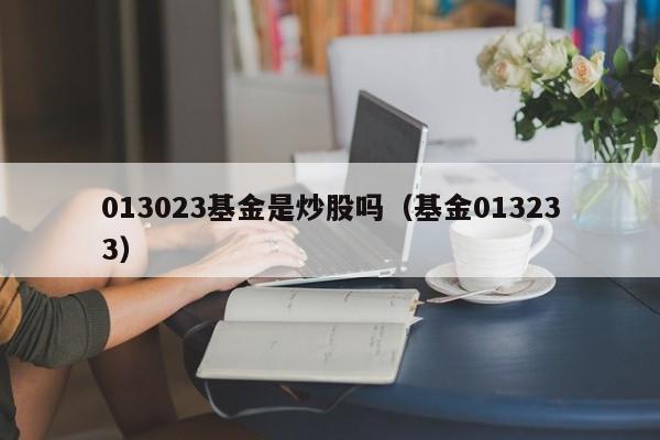 013023基金是炒股吗（基金013233）
