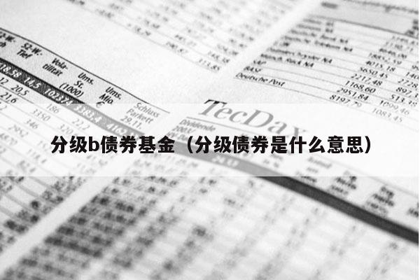 分级b债券基金（分级债券是什么意思）