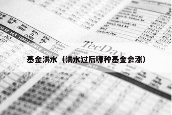基金洪水（洪水过后哪种基金会涨）
