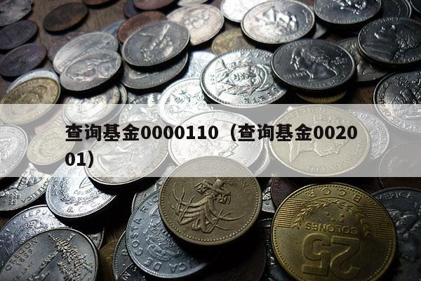 查询基金0000110（查询基金002001）