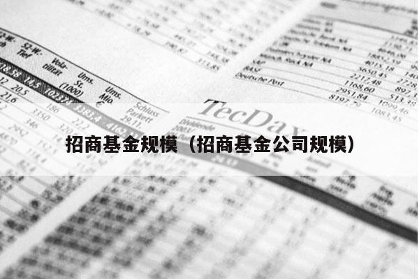 招商基金规模（招商基金公司规模）