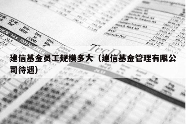 建信基金员工规模多大（建信基金管理有限公司待遇）